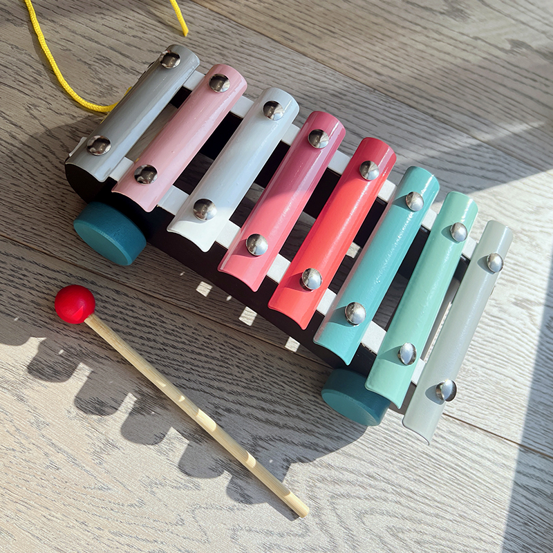 Montessori Educational Toy Set - Musical Instruments Game のレビューと価格