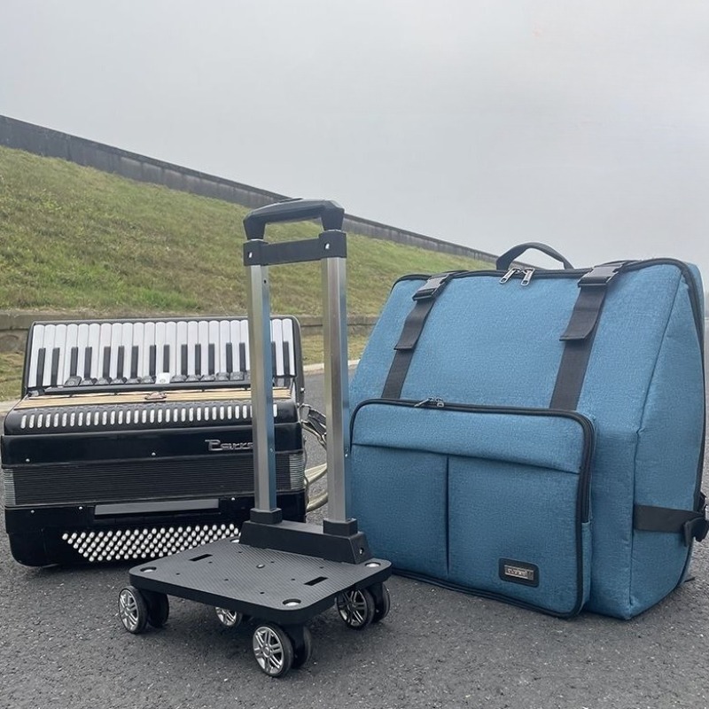 60/96/120 Thicken Accordion Ba - Musical Instrument Bass のレビューと価格