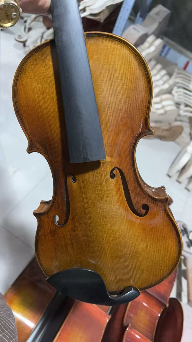Musical Instruments 4/4 Carvin - Musical Instruments Online のレビューと価格
