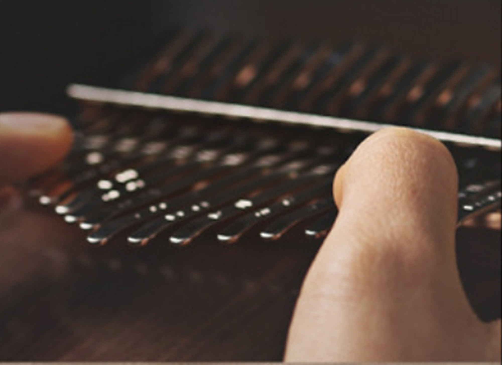 17 Key Portable Kalimba Thumb  - Musical Instrument Easy To Learn For Adults のレビューと価格
