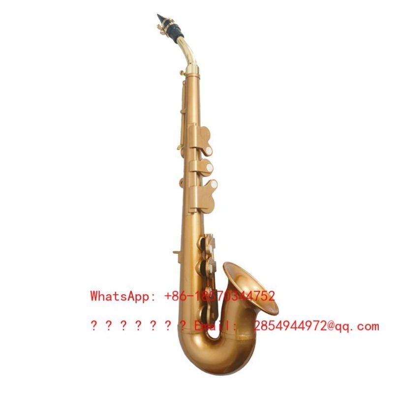 Resin Saxophone Musical Instru - Musical Instrument Easy To Learn For Adults のレビューと価格
