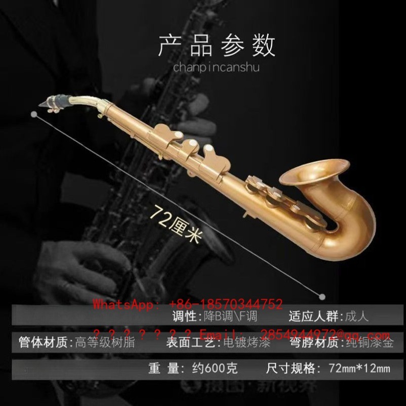 Resin Saxophone Musical Instru - Musical Instrument Easy To Learn For Adults のレビューと価格