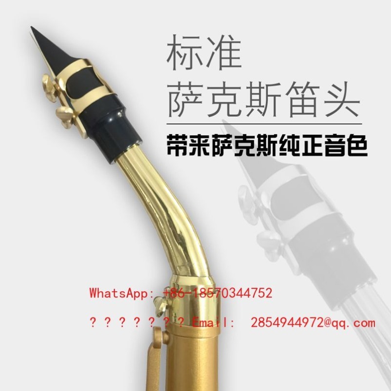 Resin Saxophone Musical Instru - Musical Instrument Easy To Learn For Adults のレビューと価格