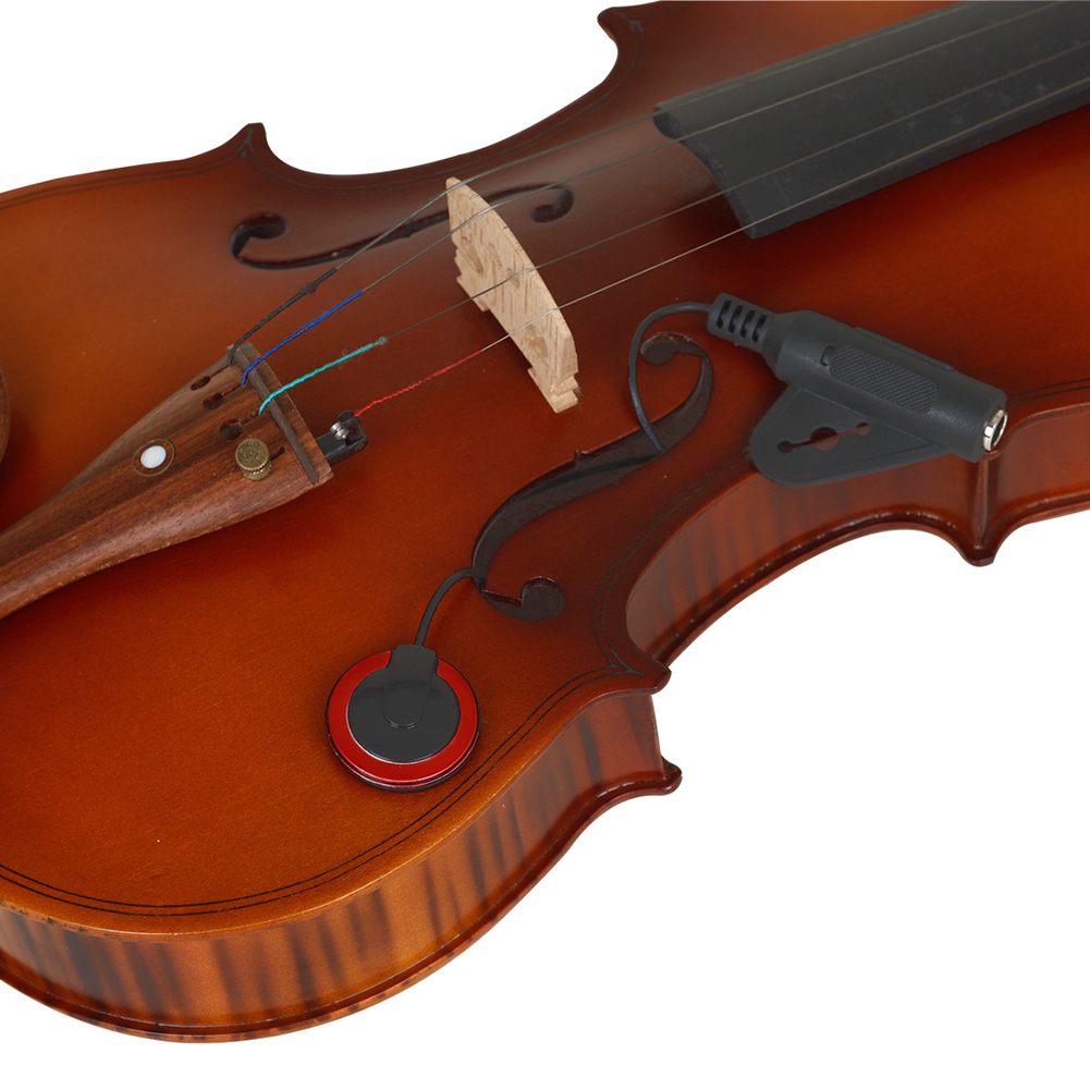 For Musical Instruments Instru - Musical Instrument And Name のレビューと価格