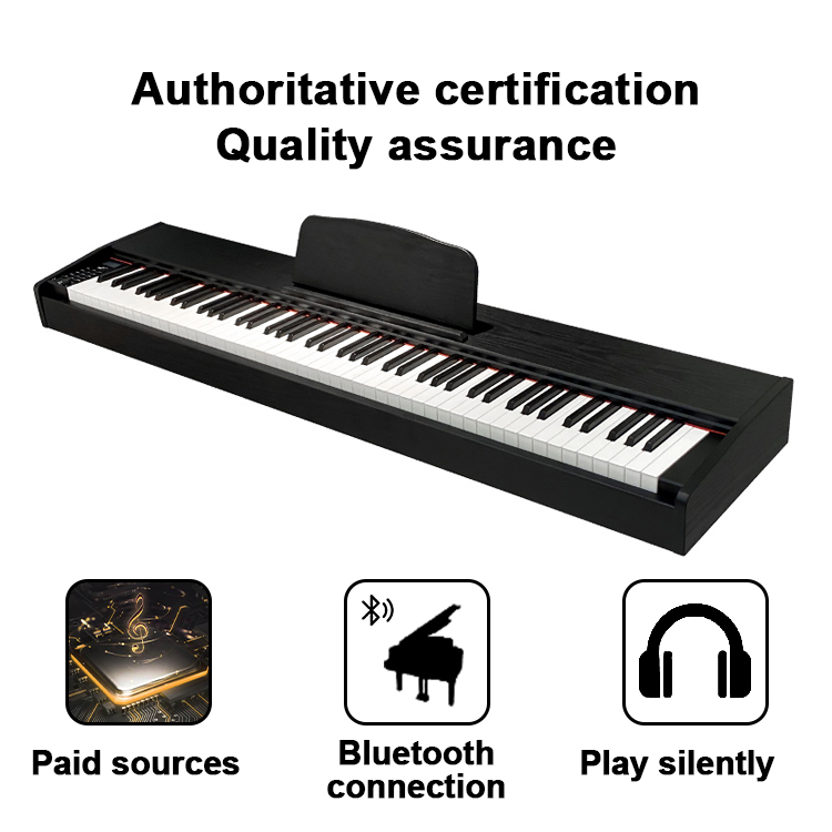 Professional Electronic Piano  - Musical Instrument Keyboard Price のレビューと価格