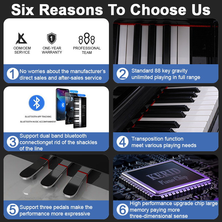 Professional Electronic Piano  - Musical Instrument Keyboard Price のレビューと価格