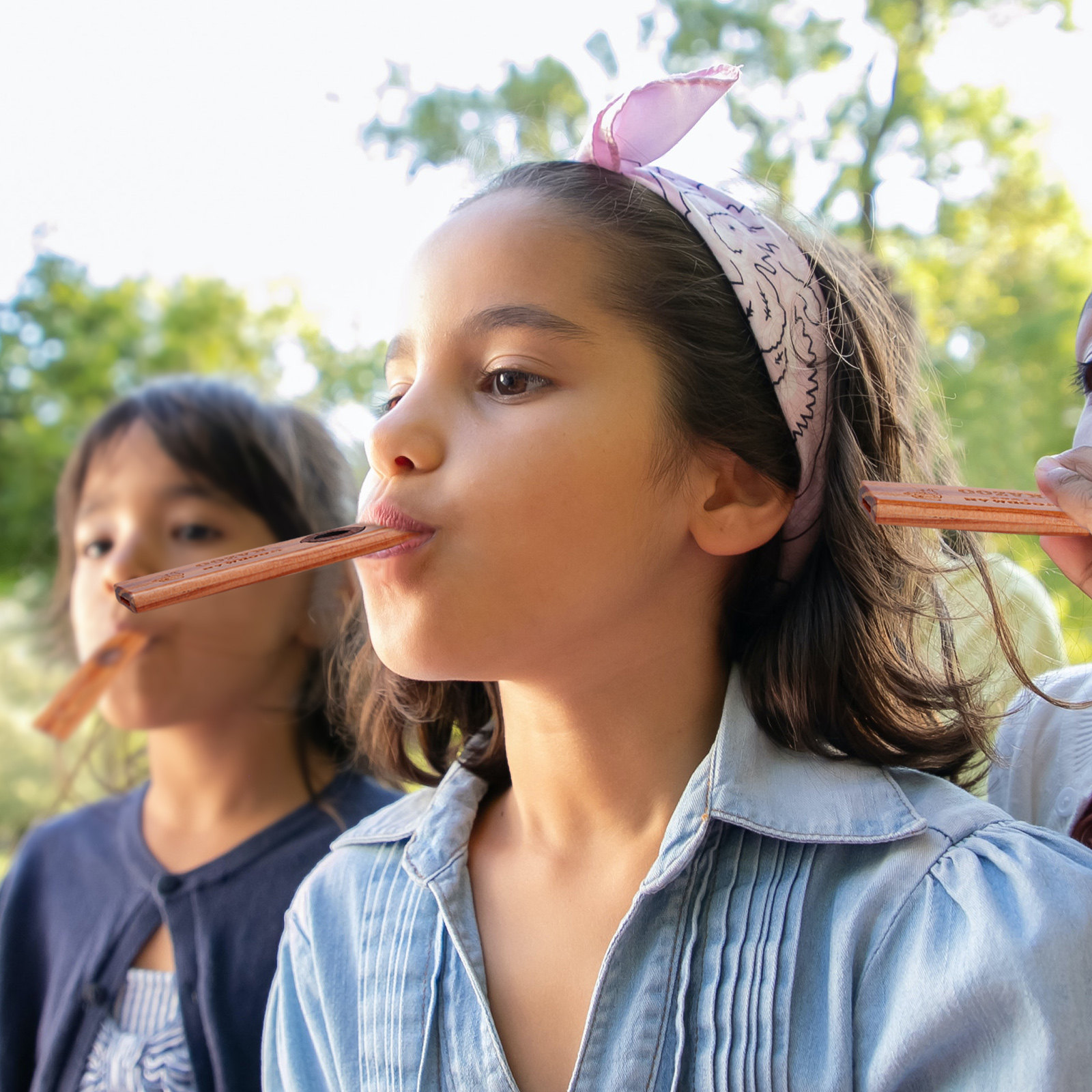 1Set Wood Kazoo Flute Eco Frie - Musical Instrument Easy To Learn For Adults のレビューと価格