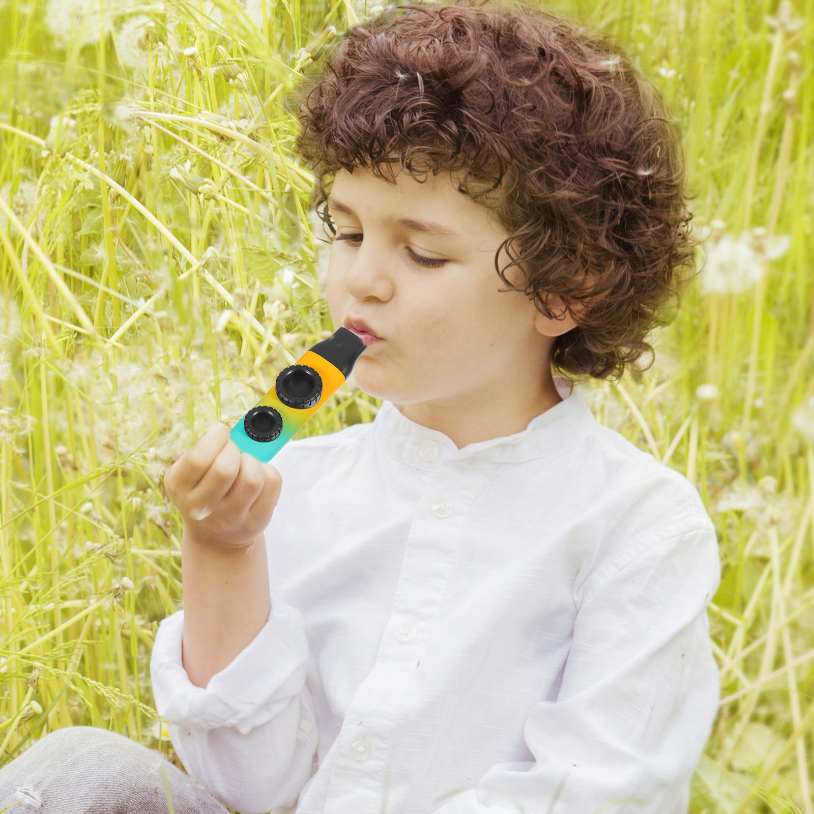 1Set Gradient Color Kazoo for  - Musical Instrument Easy To Learn For Adults のレビューと価格